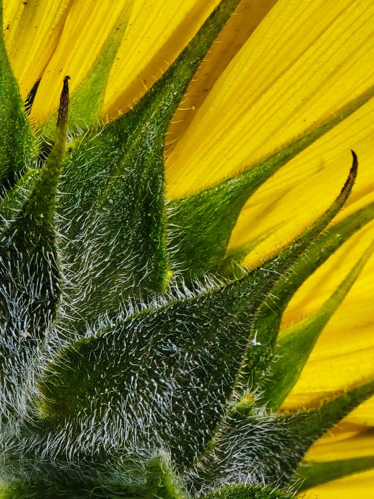 Photograph by Ирина Хлебникова