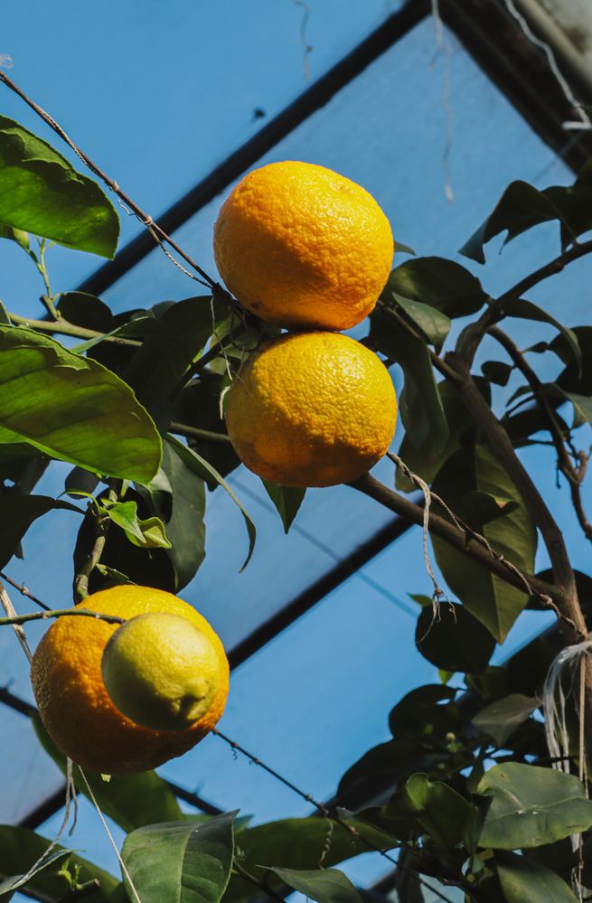 Фотография автора Юлия Гантимурова