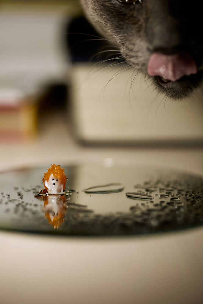 Photograph by Виктория