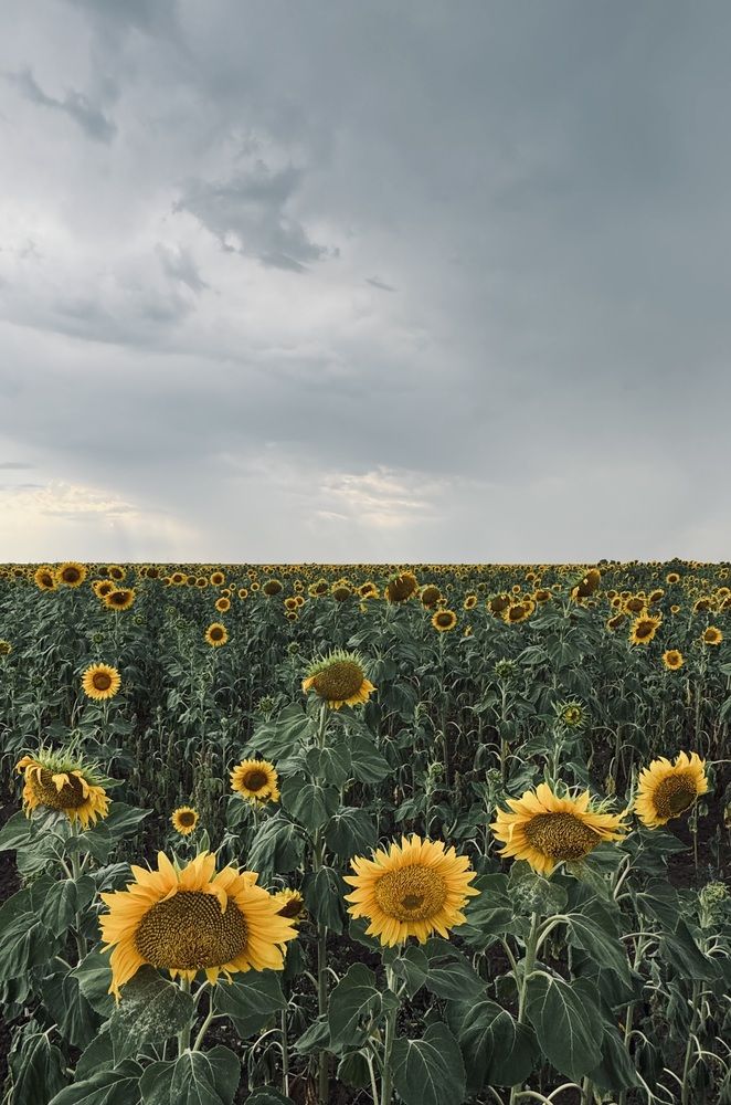 Photograph by Арина Бурда