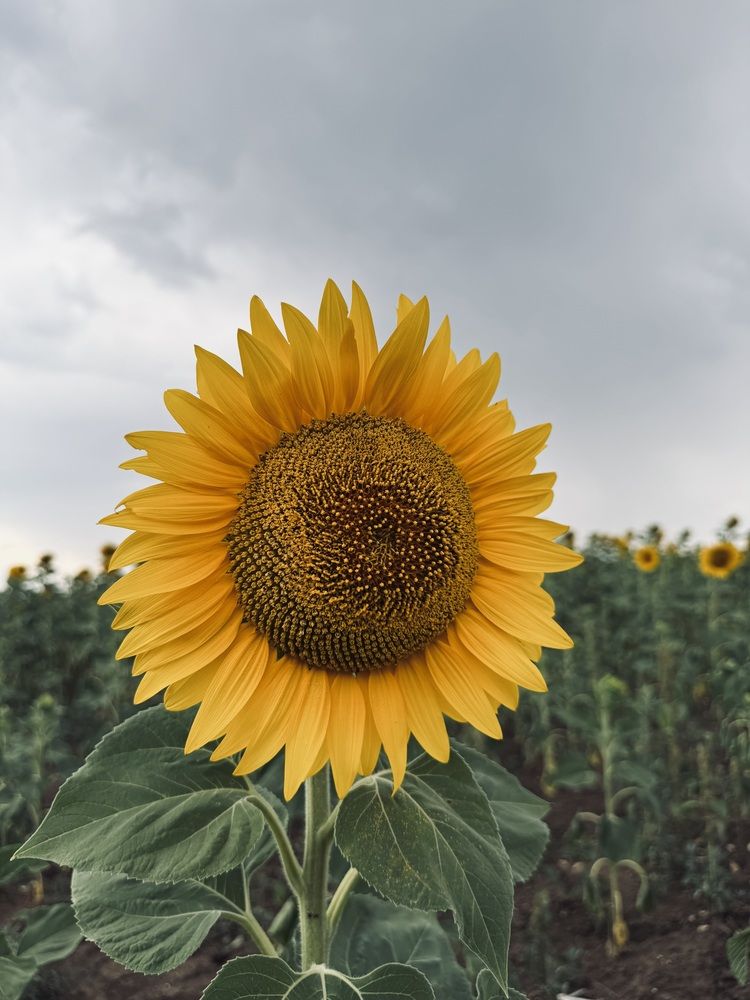 Photograph by Арина Бурда