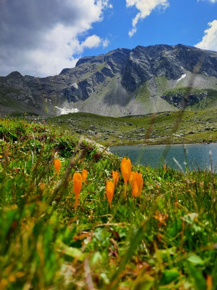 Photograph by Елена Валерьевна