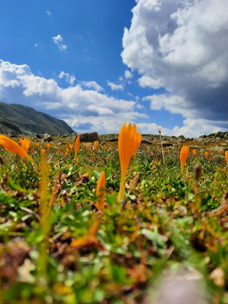 Photograph by Елена Валерьевна