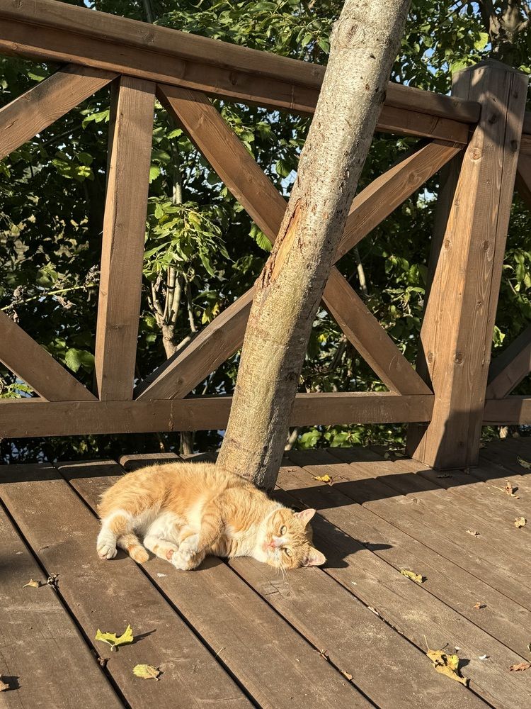 Photograph by Арина Бурда