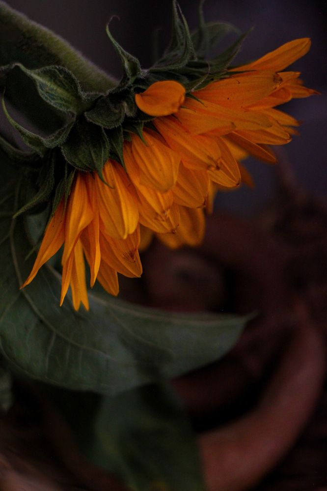 Photograph by Ольга Дорошенко