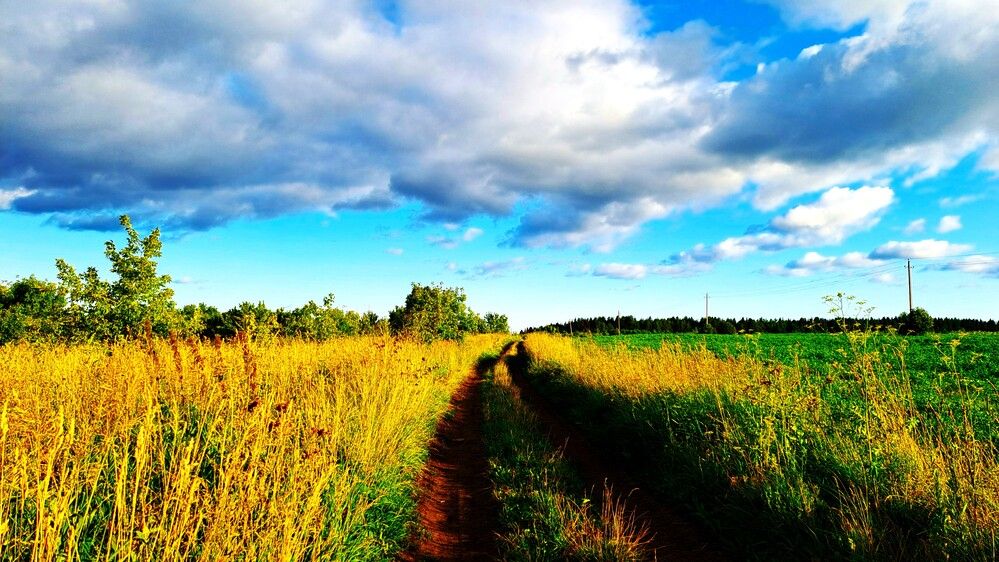 Photograph by Николай Худяков