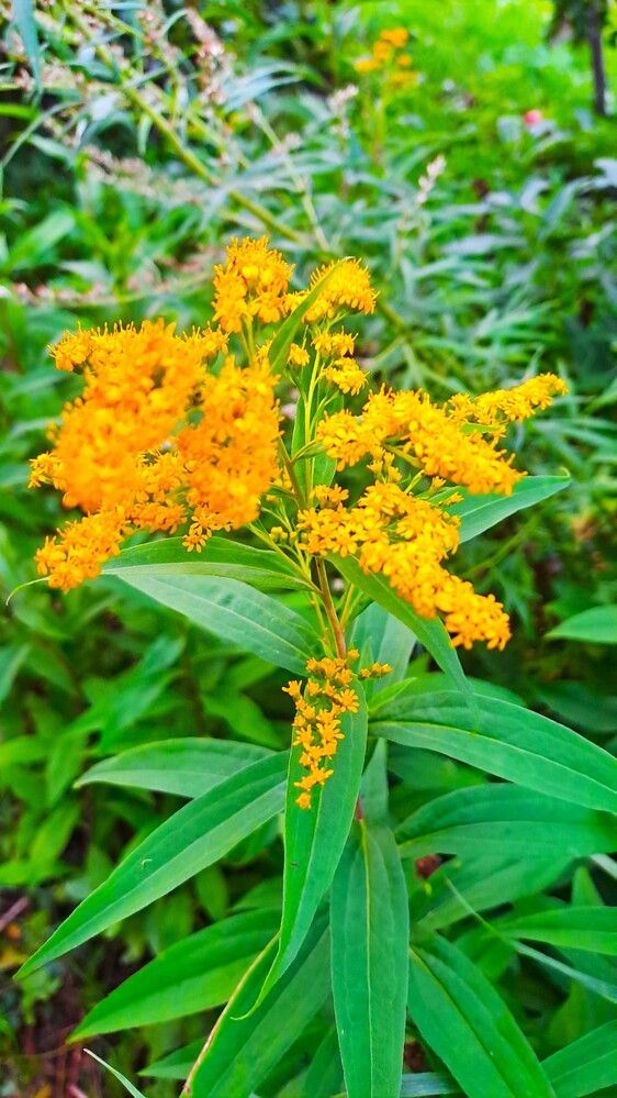 Photograph by Николай Худяков