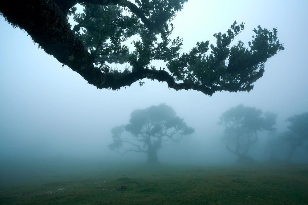 Photograph by Natalie Liedtke