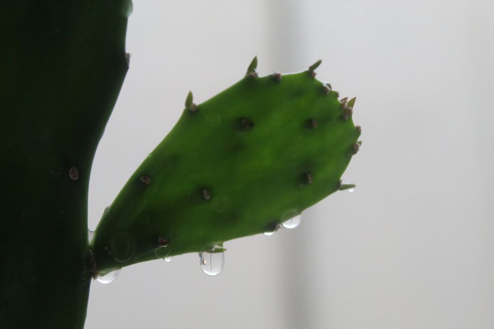 Photograph by Valeria Arcuri