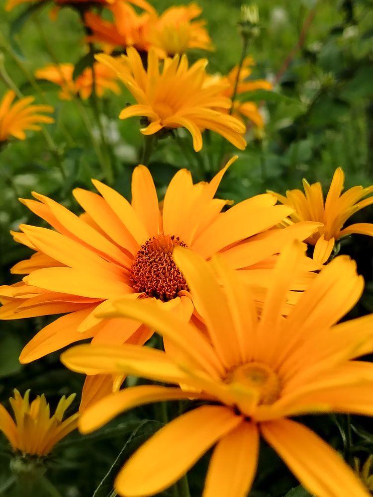 Photograph by Любовь Коровацкая