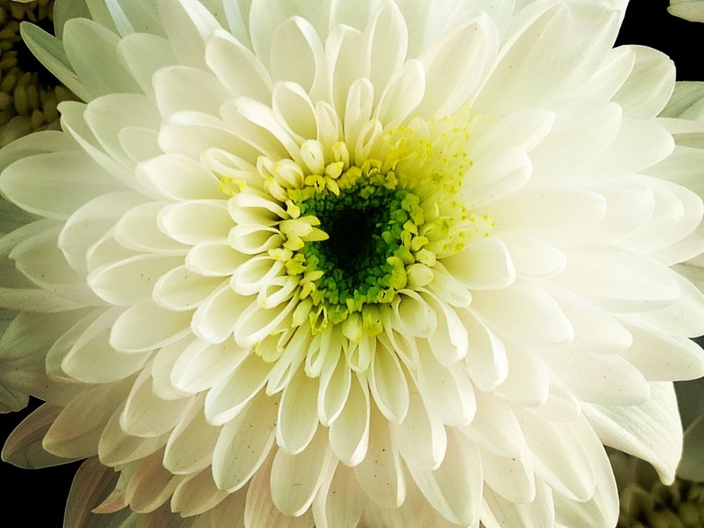 Photograph by Любовь Коровацкая