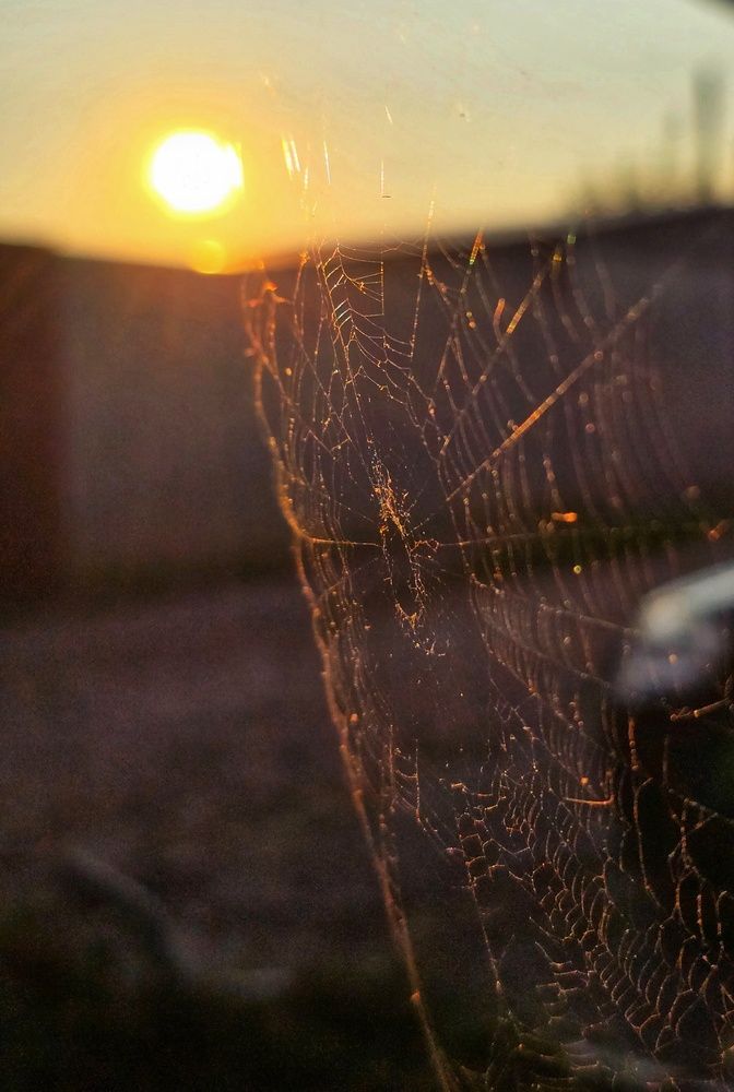 Photograph by Елена Ибрагимова