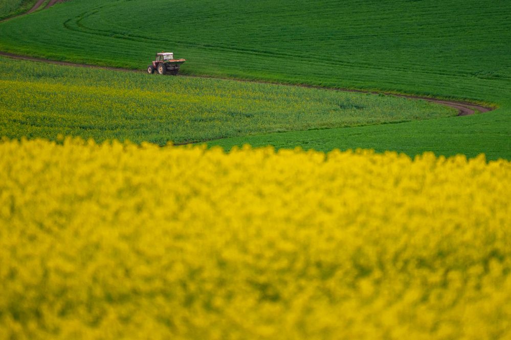 Photograph by levi bagy