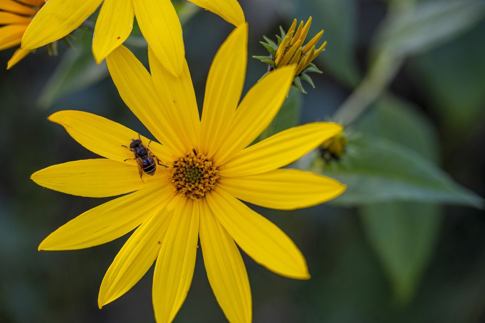 Photograph by levi bagy