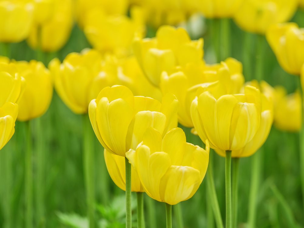 Photograph by Олег Милеев (Каминцев)