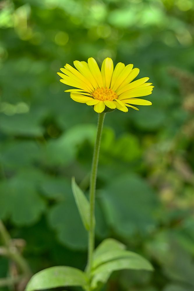 Photograph by Евгений Беленков