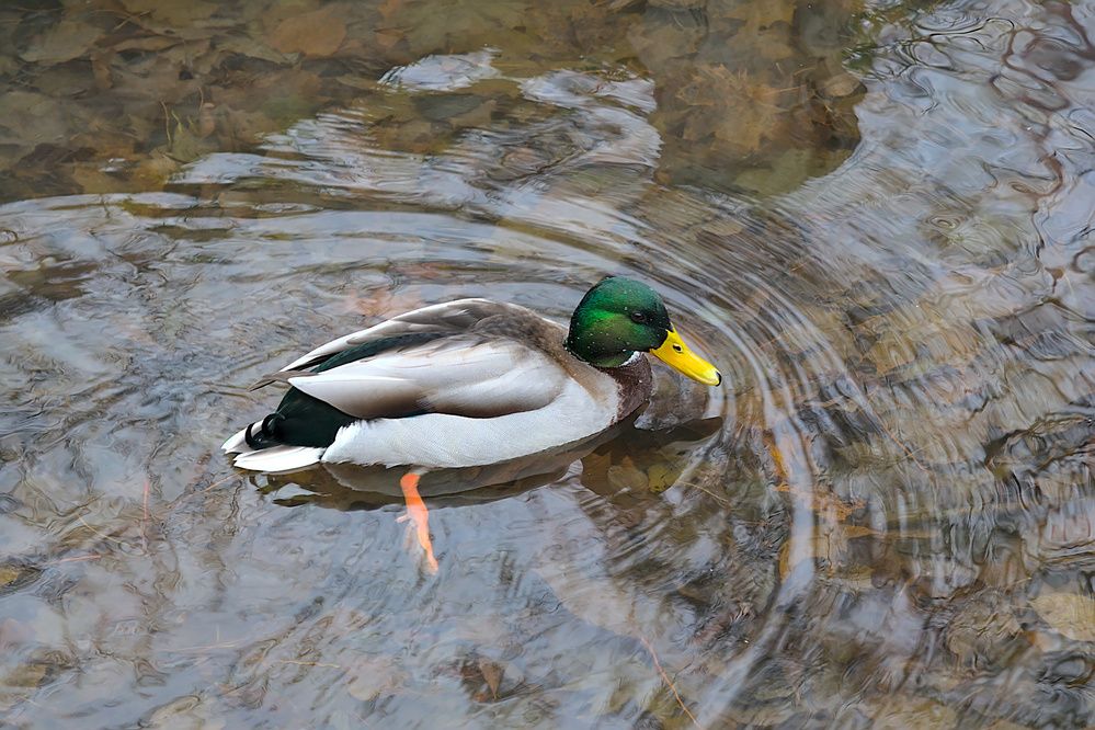 Photograph by Евгений Беленков