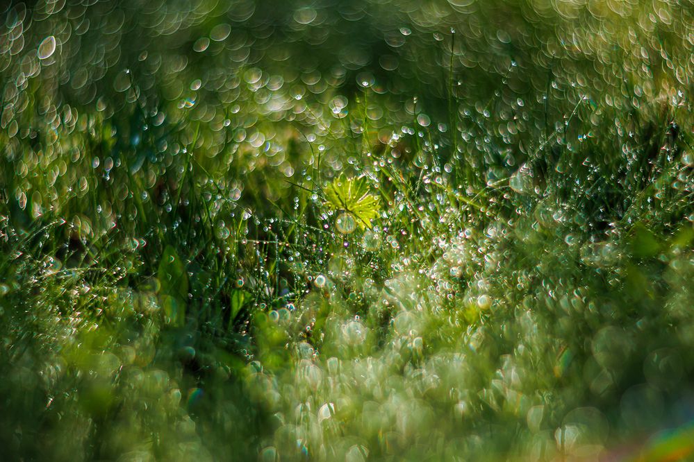 Photograph by Волынский Виктор