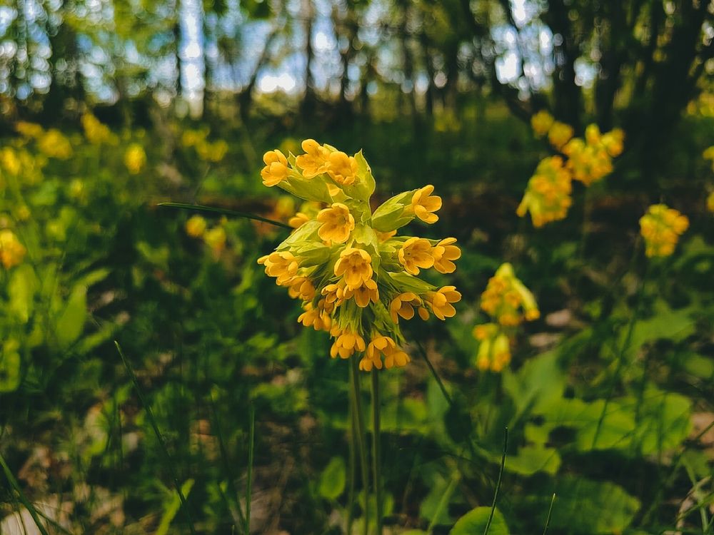 Photograph by Ирина Скворцова