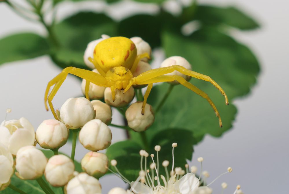 Photograph by Олег Милеев (Каминцев)