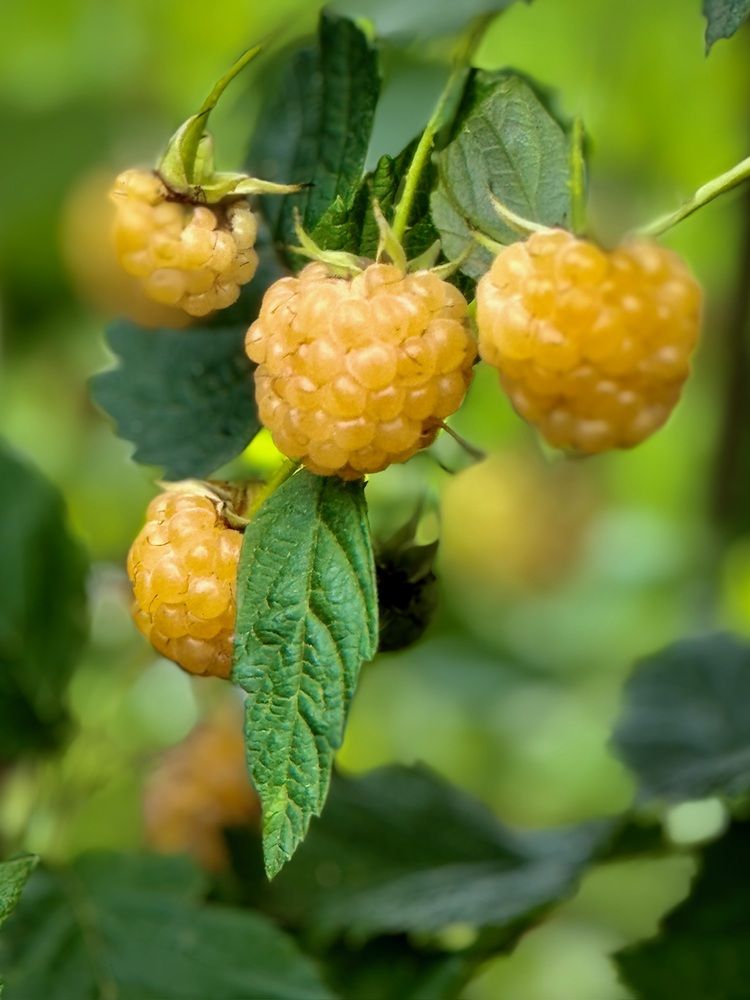 Фотография автора Евгения Иванова