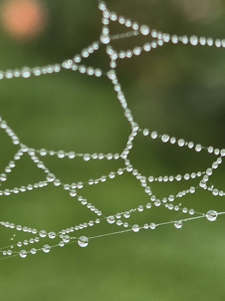 Photograph by Светлана