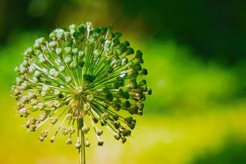 Photograph by Marina Mossiy