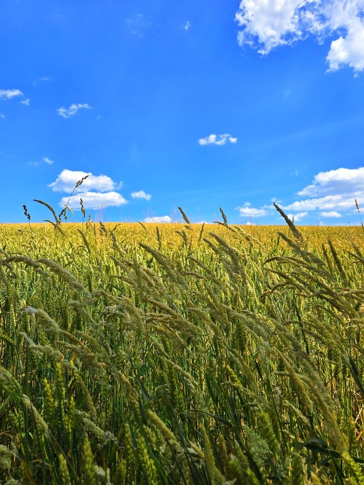 Photograph by Светлана