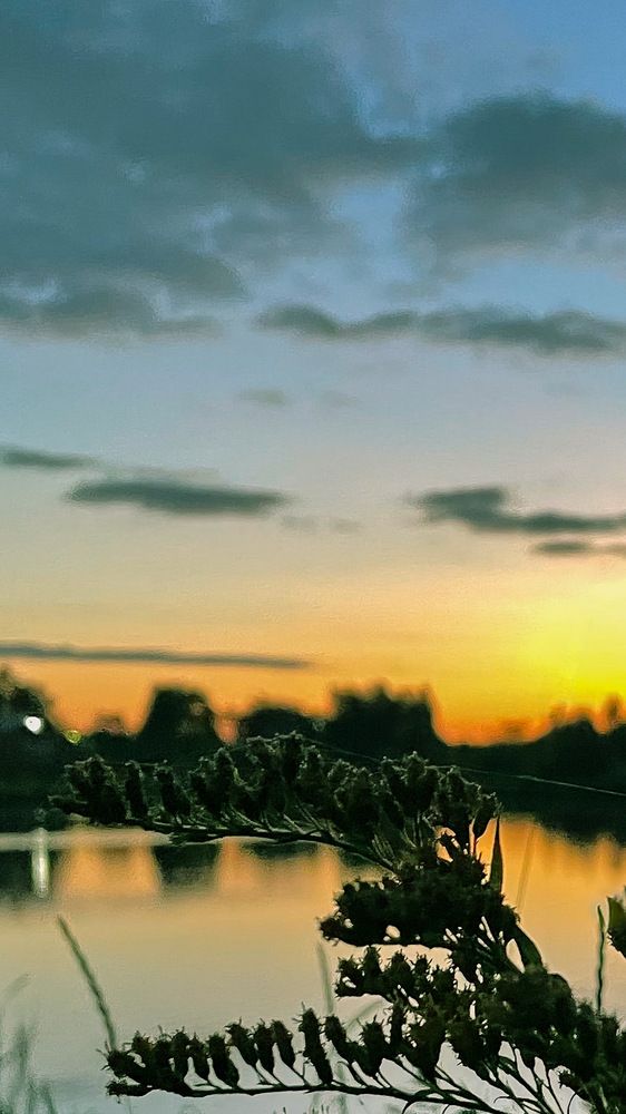 Photograph by Ольга Дорошенко