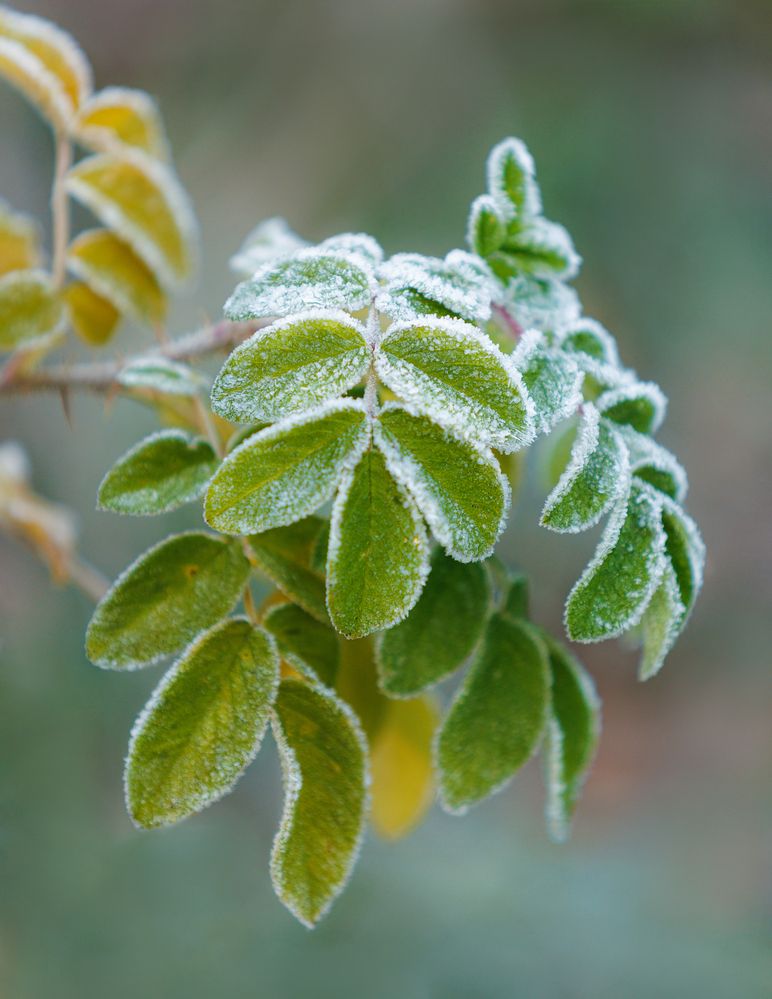 Photograph by Яна Нарбутович