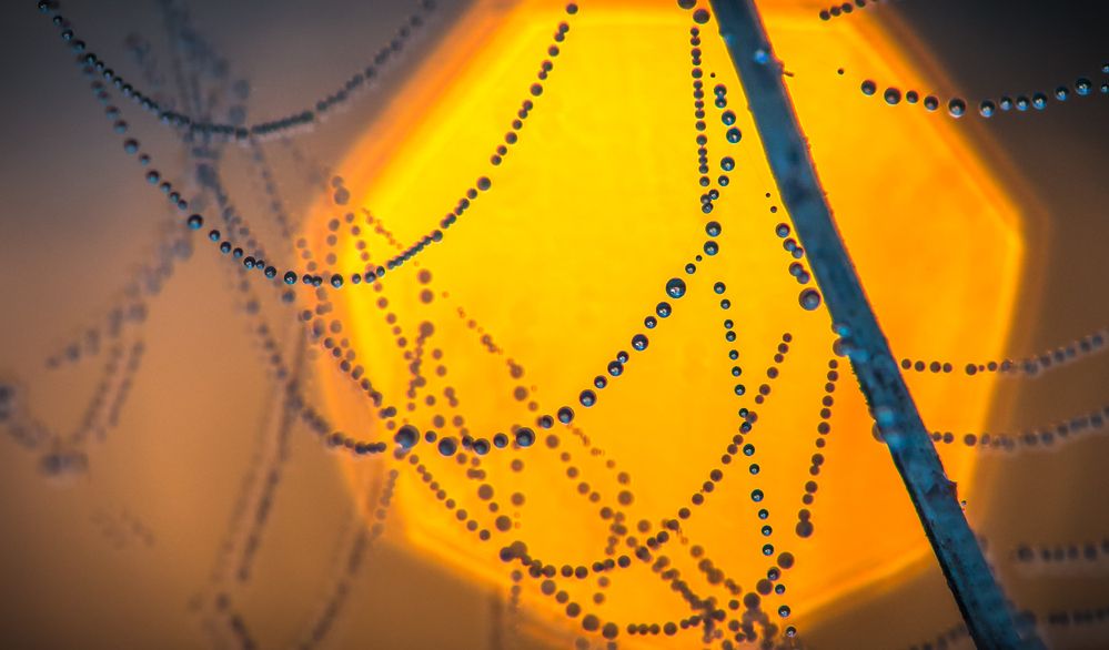 Photograph by Валерий Смирнов