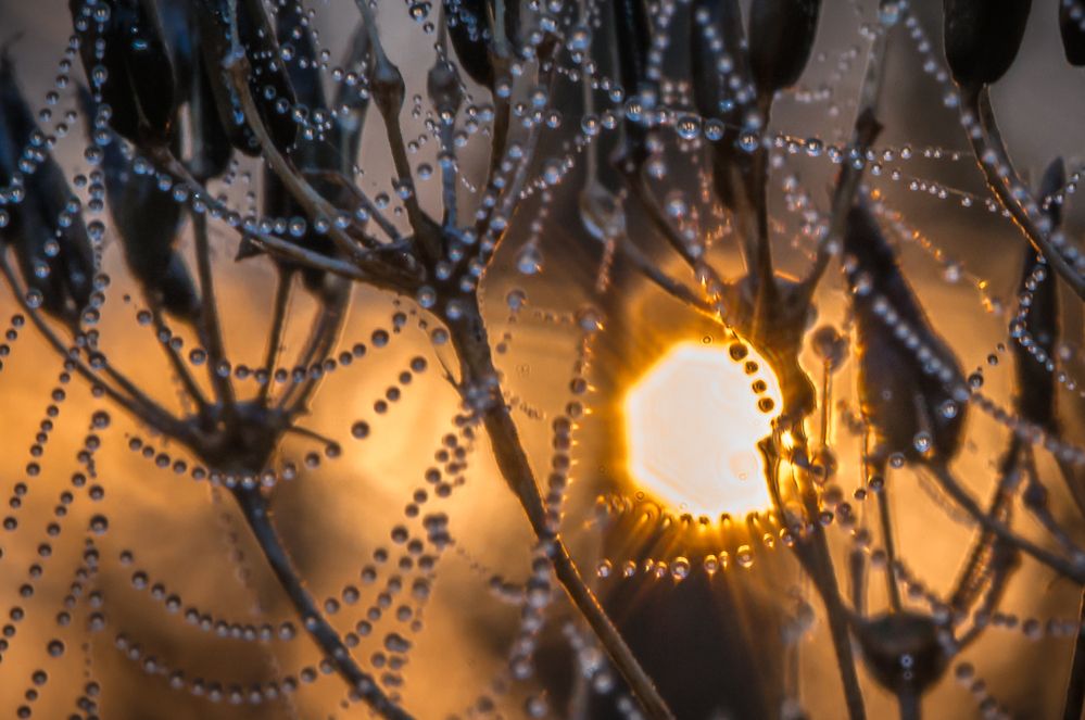 Photograph by Валерий Смирнов