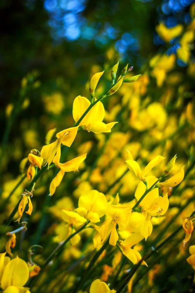 Photograph by Marina Mossiy