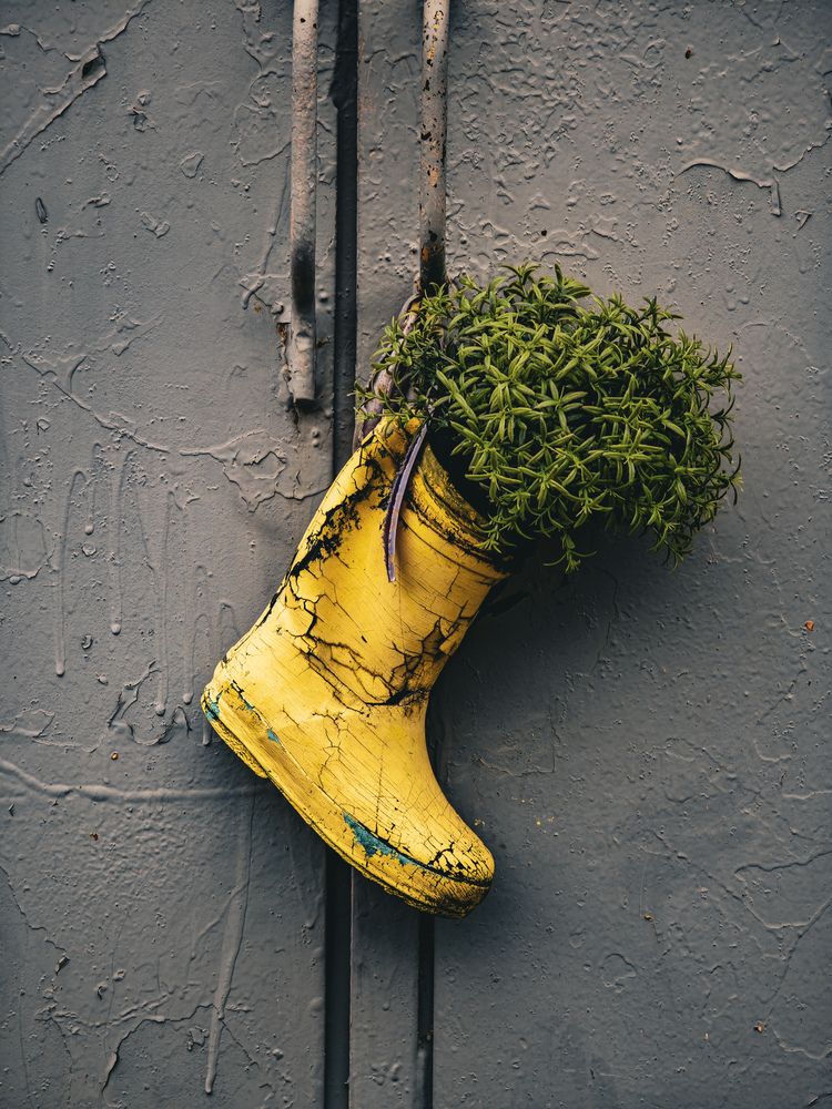 Photograph by Ljubov Trombovetskaja