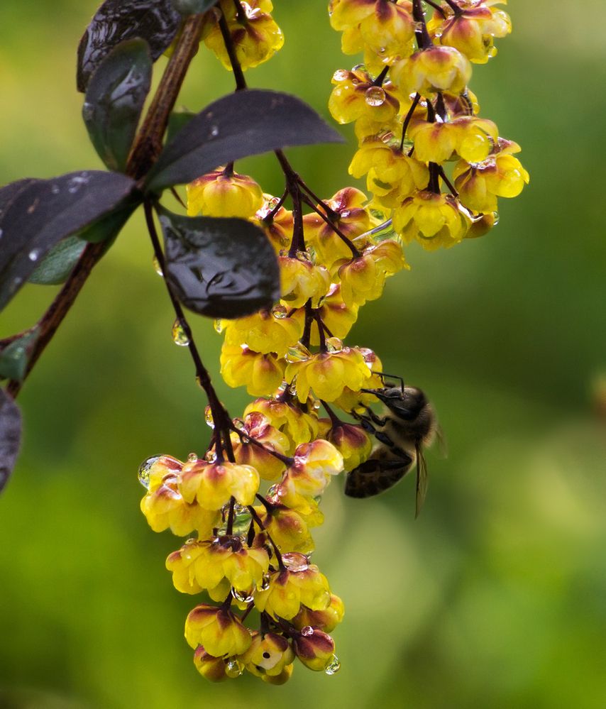 Фотография автора Борис Журавлёв
