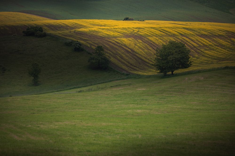 Фотография автора Tomas Kozel