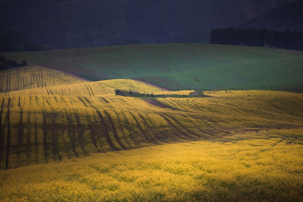 Фотография автора Tomas Kozel