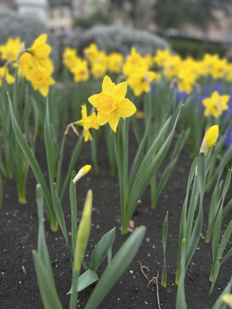 Photograph by Алёна Маринина