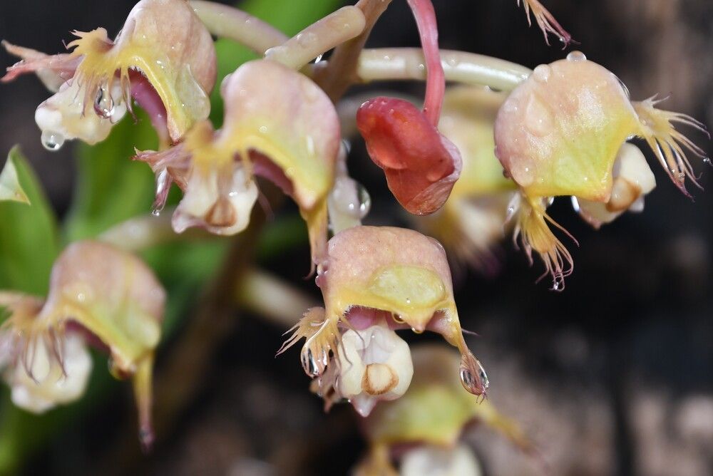 Photograph by Marzio Fattorini