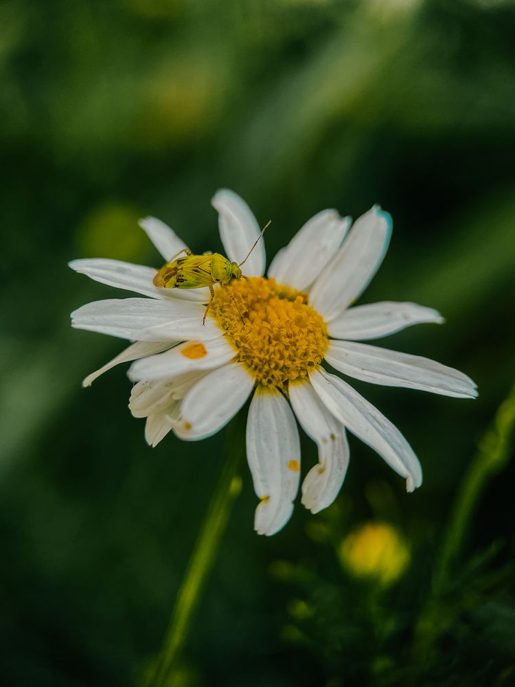 Photograph by Анна