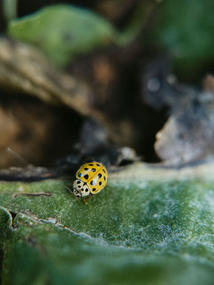 Photograph by Анна