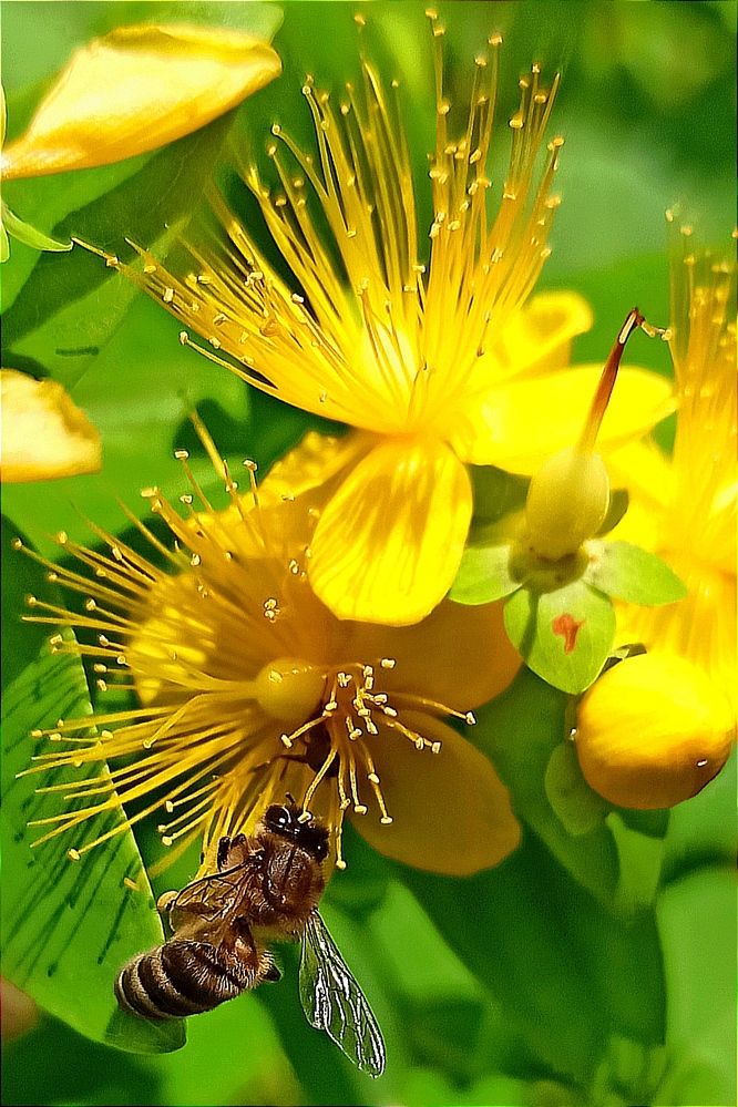 Photograph by Ольга Тихонова