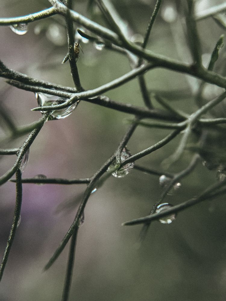 Photograph by Анна