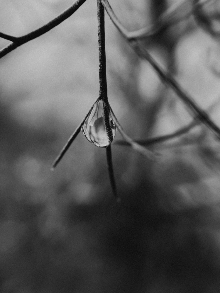 Photograph by Анна