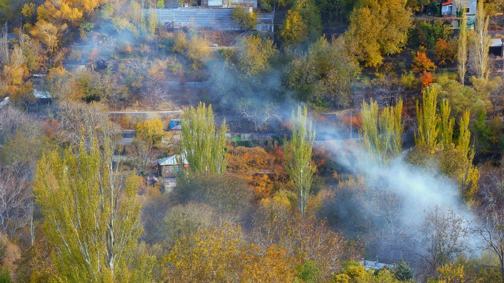 Photograph by Amir Hosein Shokrabadi