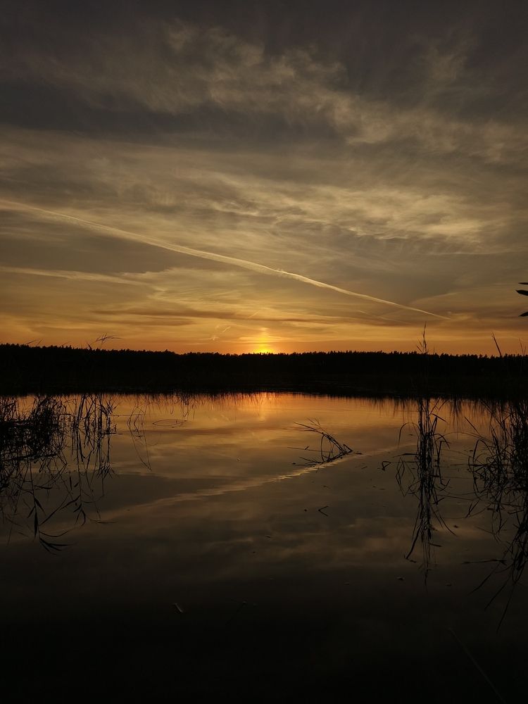 Photograph by Александр Хухлов