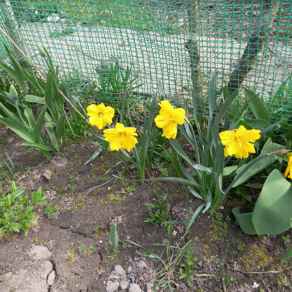 Photograph by Ирина Федичева