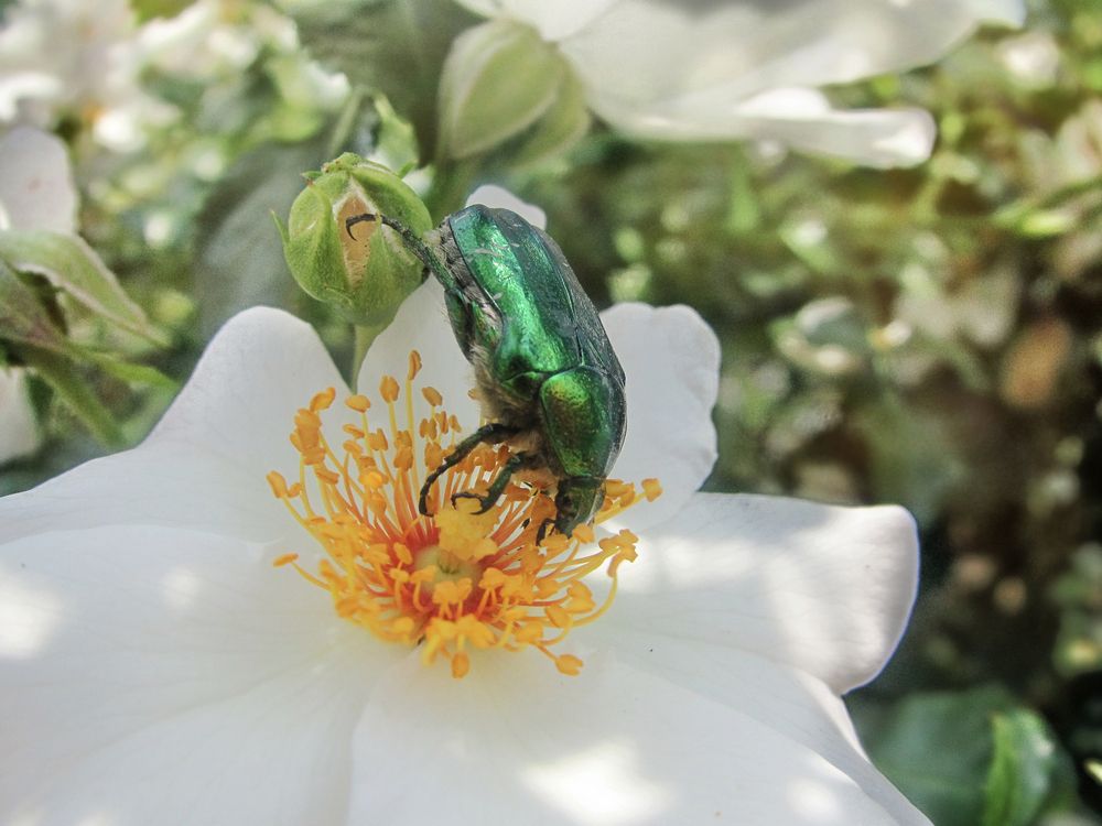 Photograph by Елена Чулюнина