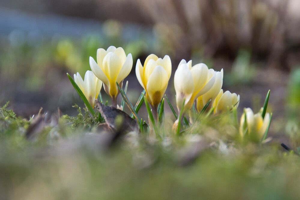 Фотография автора Юлия Кранина