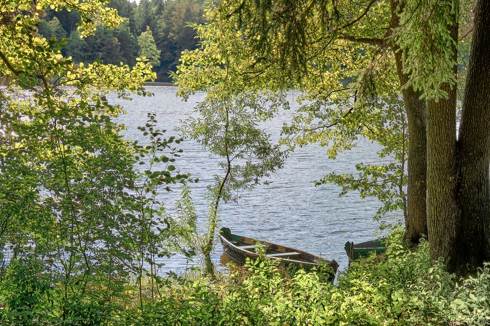 У озера (Жёлто-зелёный сентябрь)